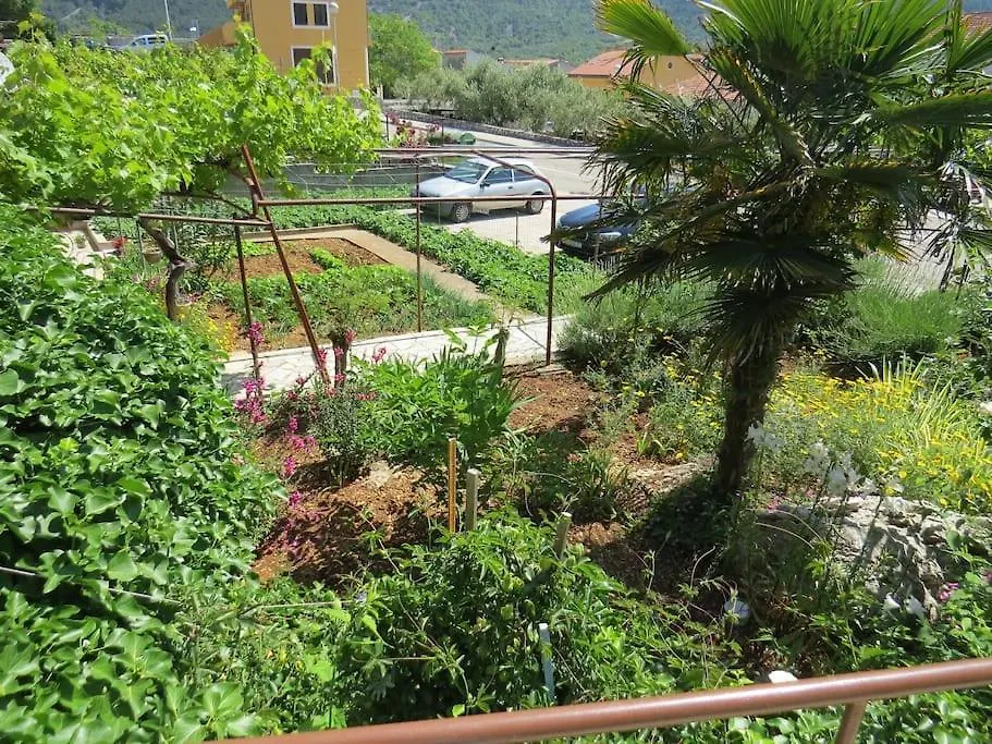 Apartment Radanovic-Beaches 5 Min Walking Cres 0*,  Croatia